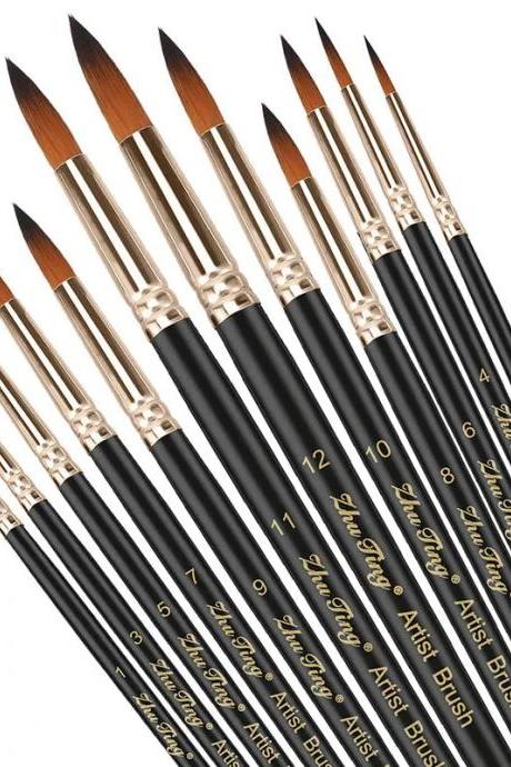 Professional Fine Tip Paint Brush Set, 12-piece Artist Set