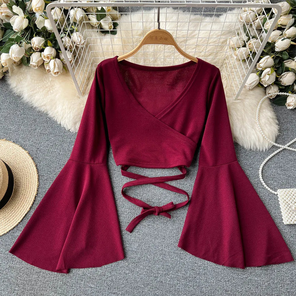 Vine & Love Long Balloon Sleeve Round Neck Velvet Blouse Top in Burgundy